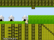 newzealand story level 2 on nes